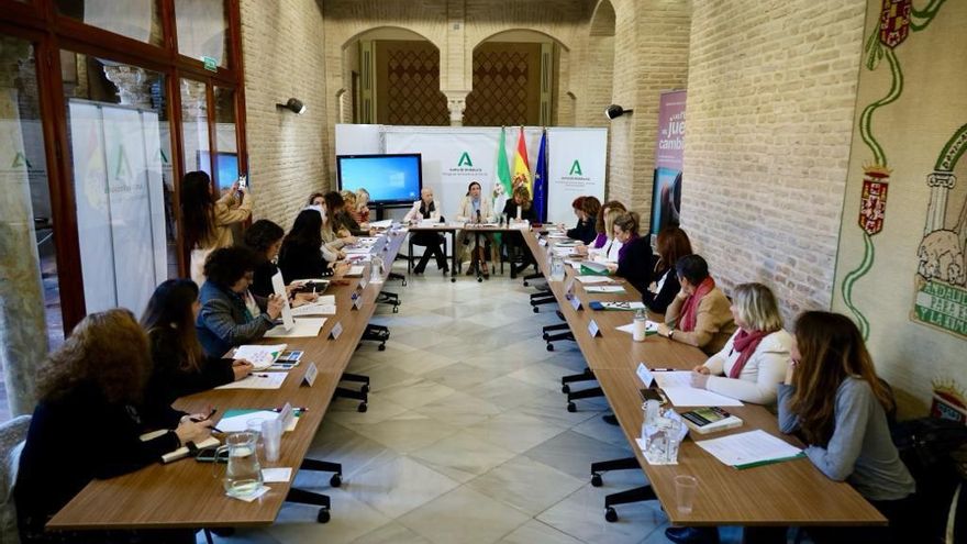 El Consejo Andaluz de Participación de las Mujeres denuncia el "grave recorte sin precedentes" en la Ley de Igualdad