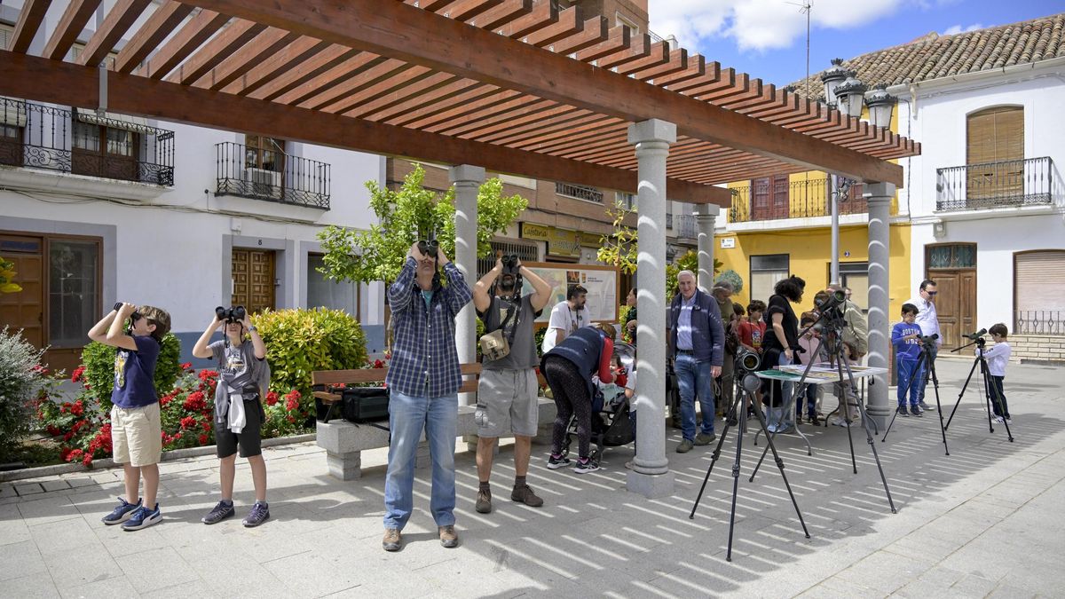 Observación de aves, sueltas y actividades infantiles este sábado en la Fiesta del Cernícalo Primilla en Almodóvar del Campo y Tirteafuera