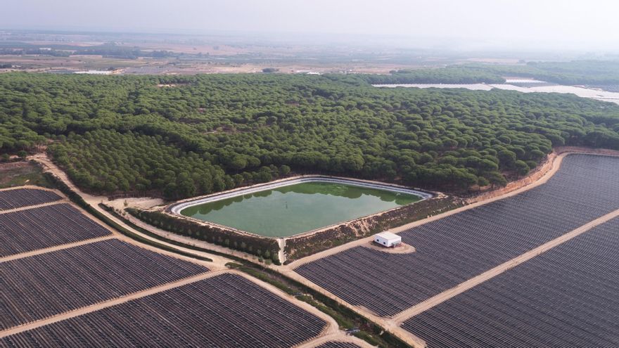 Los agricultores de Doñana han recibido 1.300 multas por uso ilegal del agua que suman más de 14 millones en sanciones