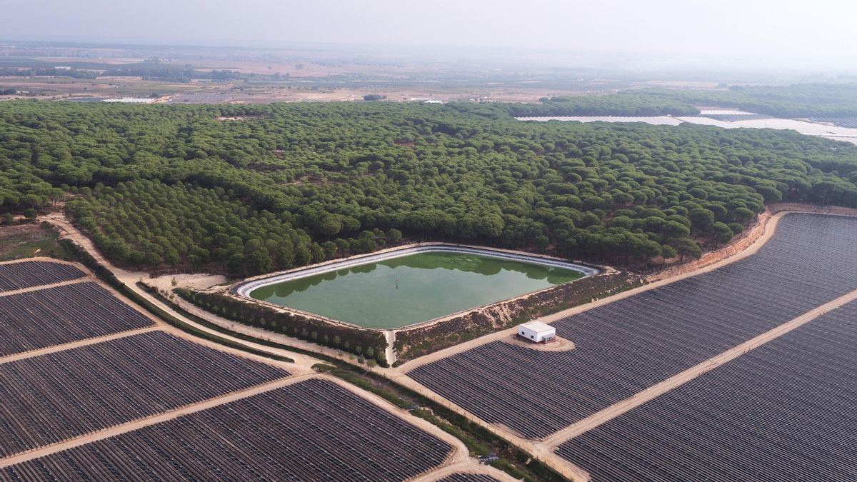 Los agricultores de Doñana han recibido 1.300 multas por uso ilegal del agua que suman más de 14 millones en sanciones