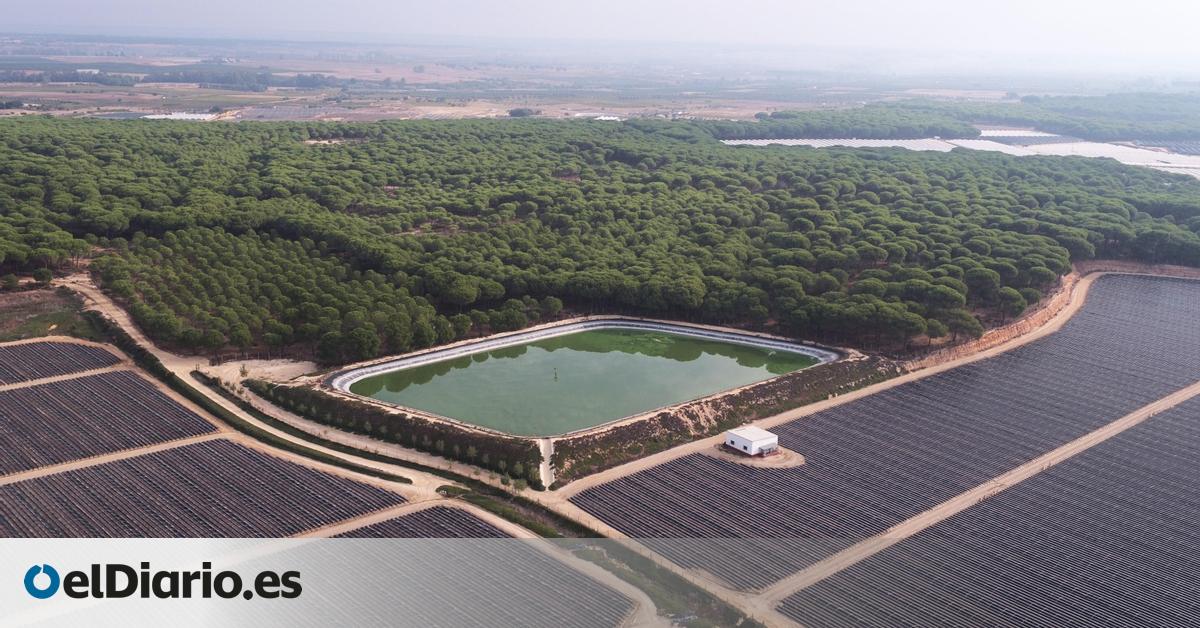 Los agricultores de Doñana han recibido 1.300 multas por uso ilegal del agua que suman más de 14 millones en sanciones