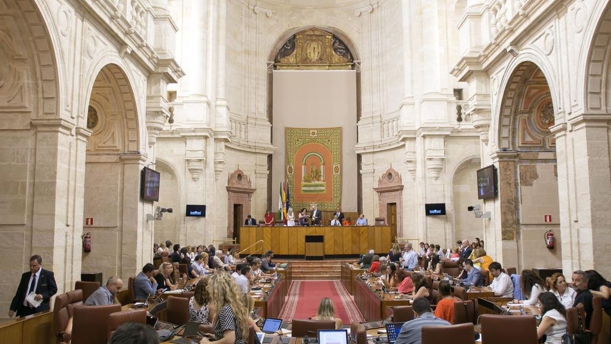 Parlamento da luz verde a comisión de investigación sobre Faffe con la duda de si se pondrá en marcha esta legislatura