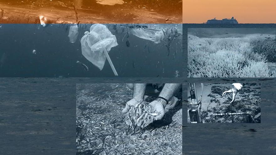 Alarma en los océanos: el mundo se reúne para intentar salvar los mares