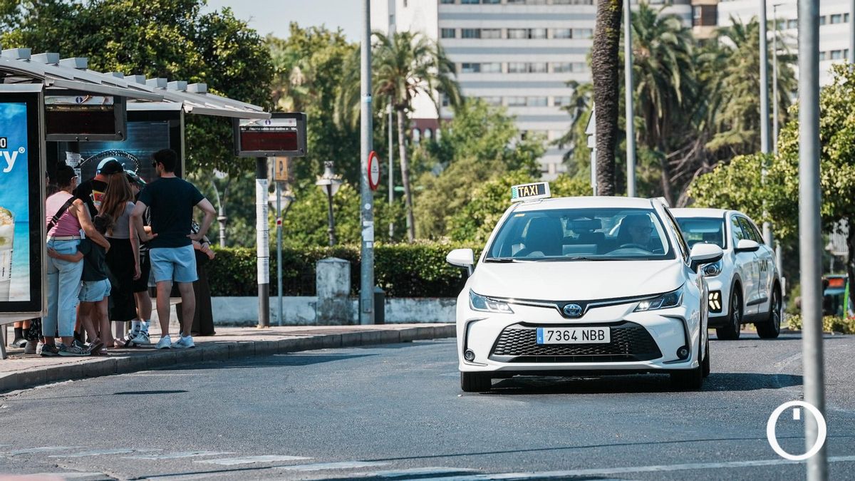 Facua insta al Ayuntamiento a garantizar taxis adaptados a personas con discapacidad en horario nocturno