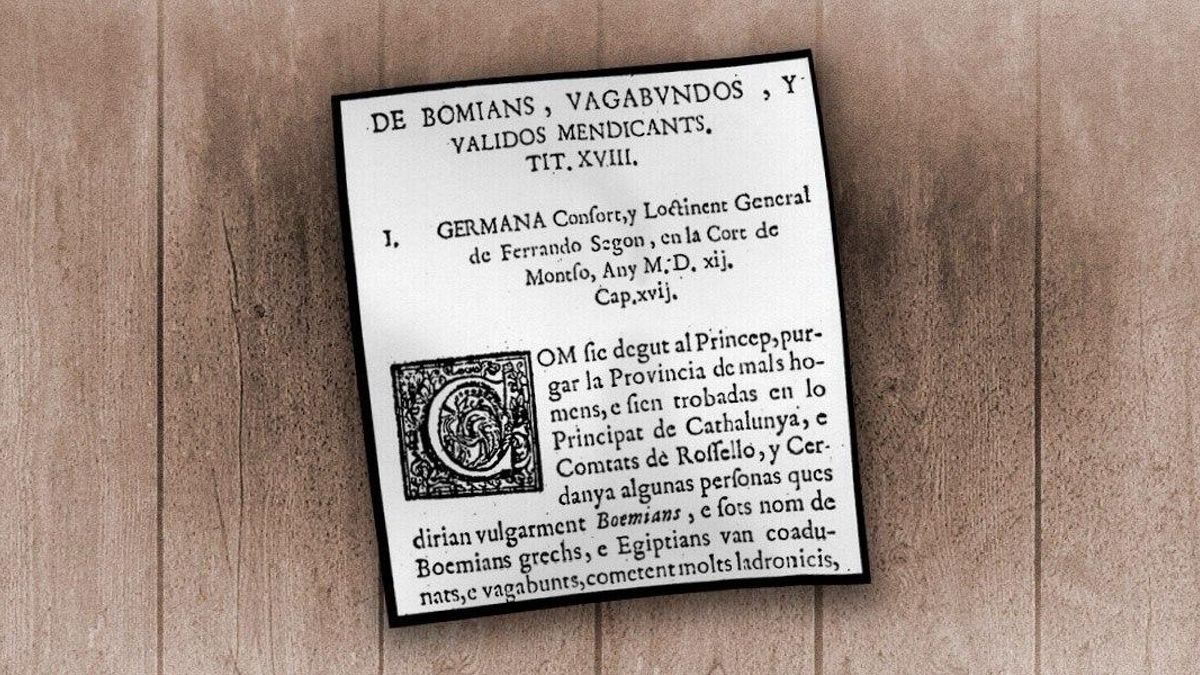 photo 2025 11 14 09.59.19