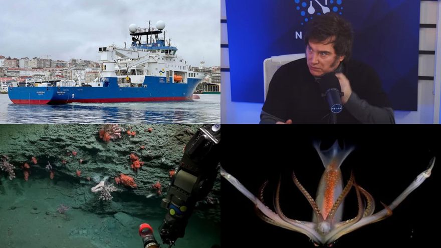 El streaming del CONICET en el fondo del mar les ganó a Milei en Neura, a TN, C5N, A24, LN+ y Luzu