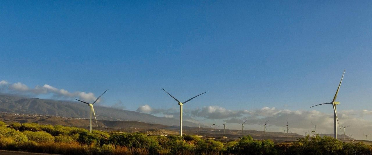 Parque eólico de Iberdrola en Canarias.