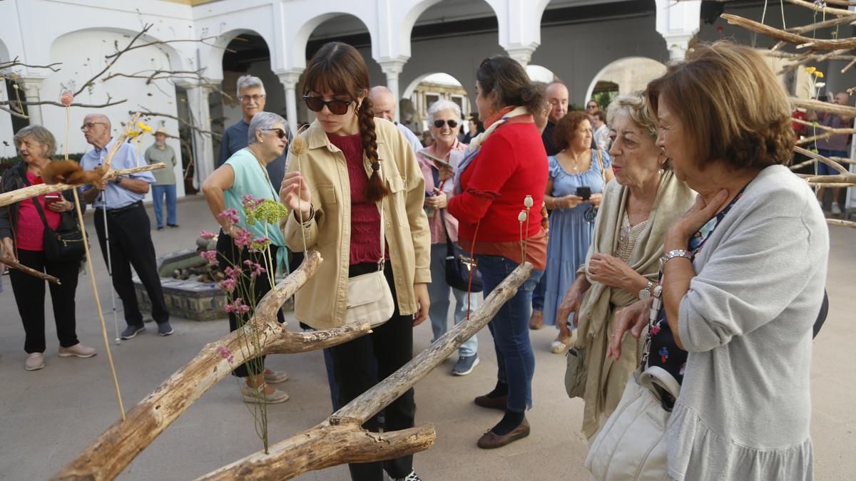 Flora 2025 - 'Arbor' (Museo Arqueológico)