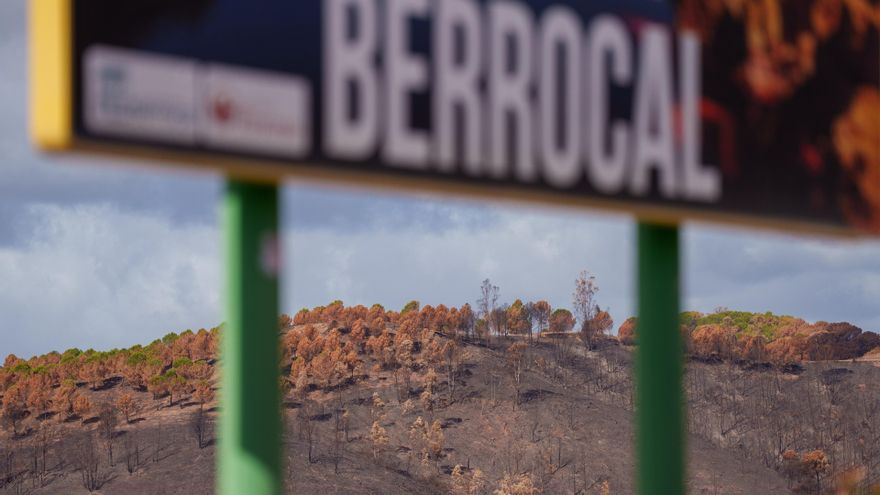 El coste de restaurar el incendio más extenso del verano en Andalucía: 400 millones y 20 años para recuperar Niebla