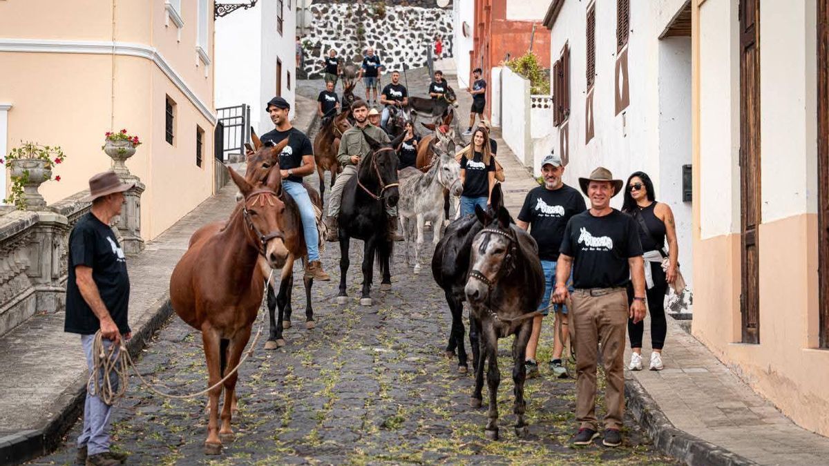 Villa de Mazo reúne a unas 150 personas en la primera edición de La Burrada