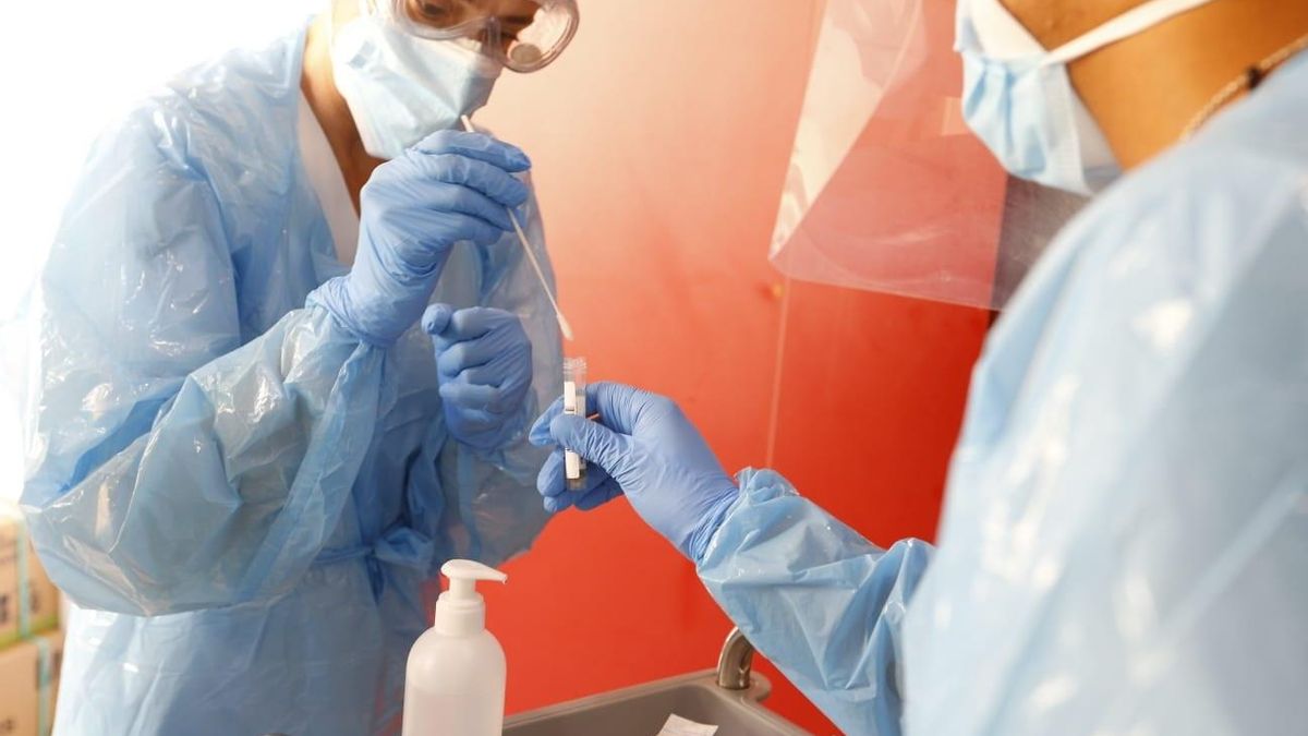 Realización y análisis de una prueba PCR.