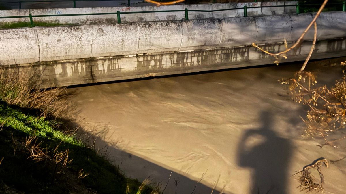 El arroyo Cantarranas, cerca de su límite.