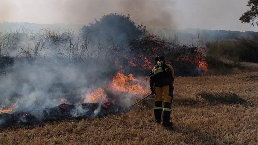 Los incendios forestales queman 8,92 hectáreas en Balears en lo que va de año