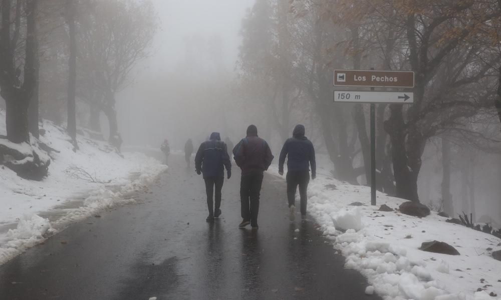 Cumbre grancanaria (31/01/2018)