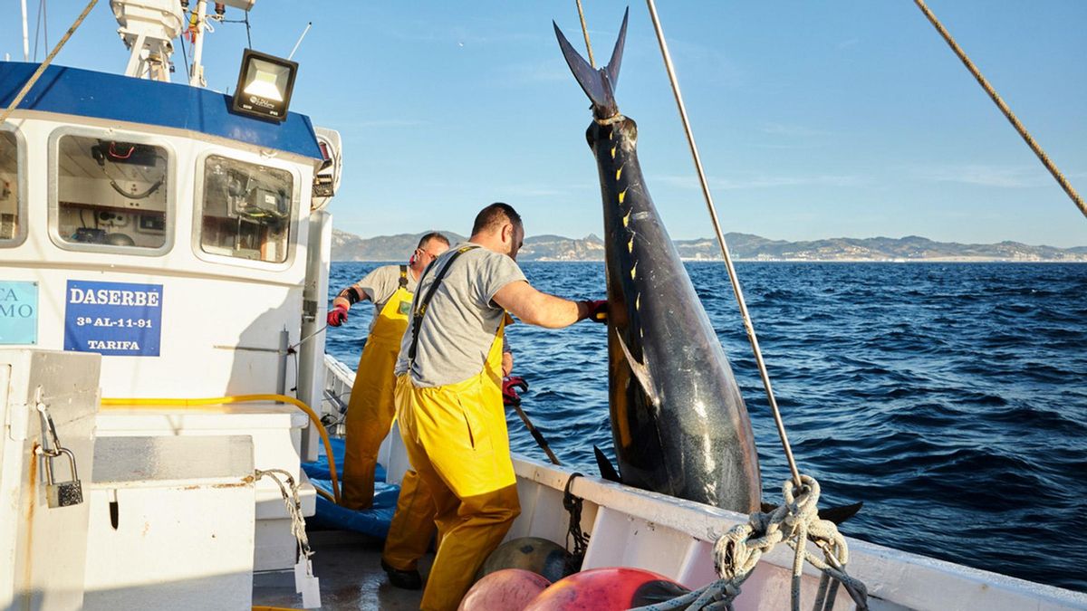 Portada Reportaje Santander | Los ‘Cinco pasos Mackintosh'