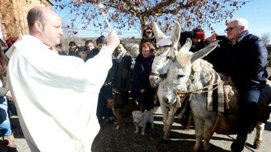 Carlos S. Campillo / ICAL Bendición de animales en la localidad de Villeza con motivo de la festividad de San Antón