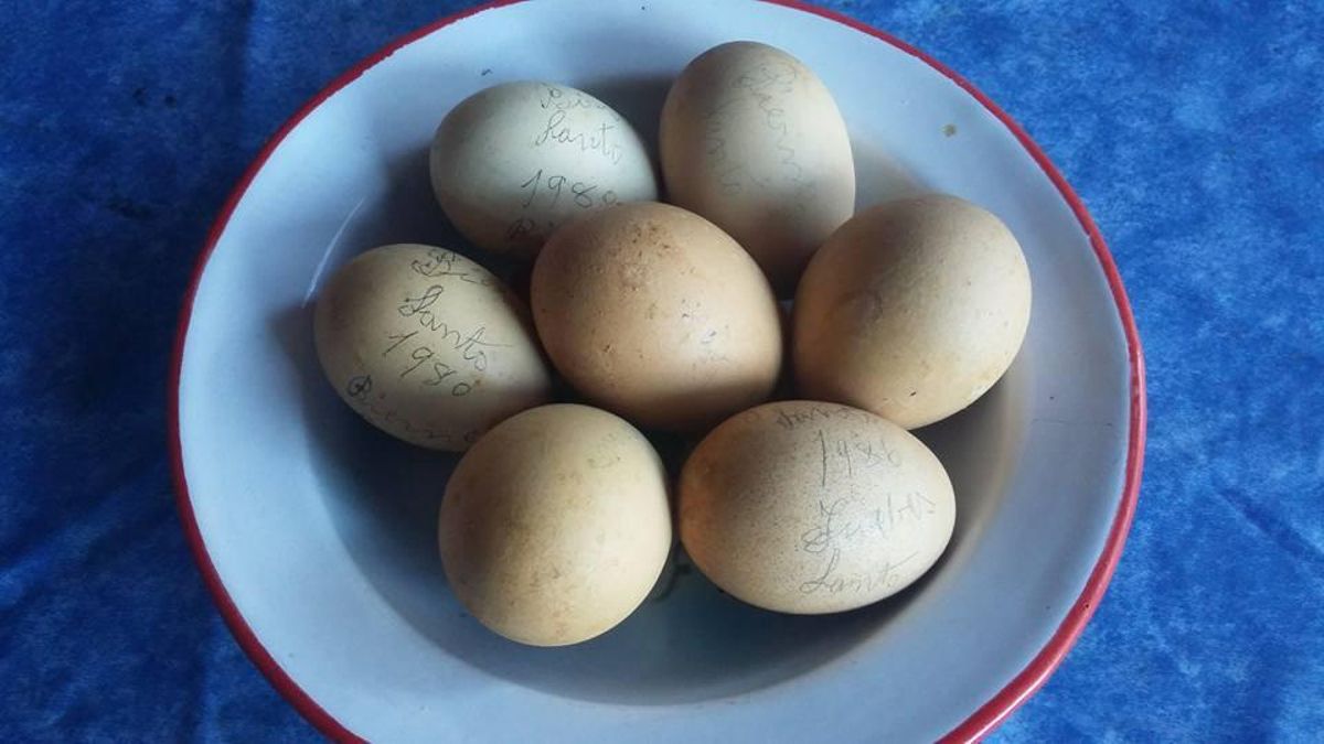 ¿Cómo puedo saber si un huevo está malo mucho antes de abrirlo para comérmelo?