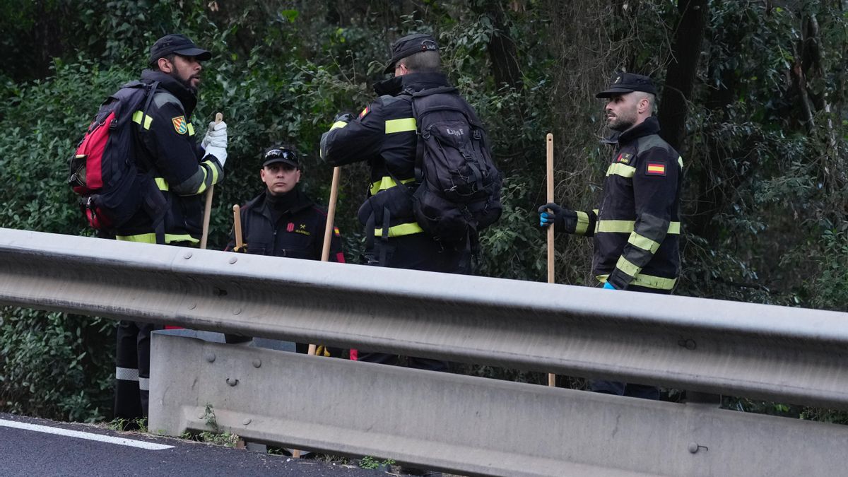 Catalunya prohíbe el acceso a los bosques en los 91 municipios afectados por la peste porcina