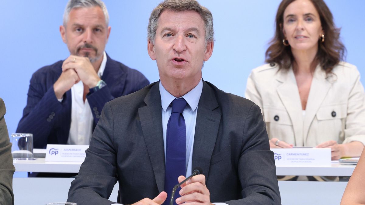 Feijóo napovedal rušenje zakonov vlade Pedra Sáncheza