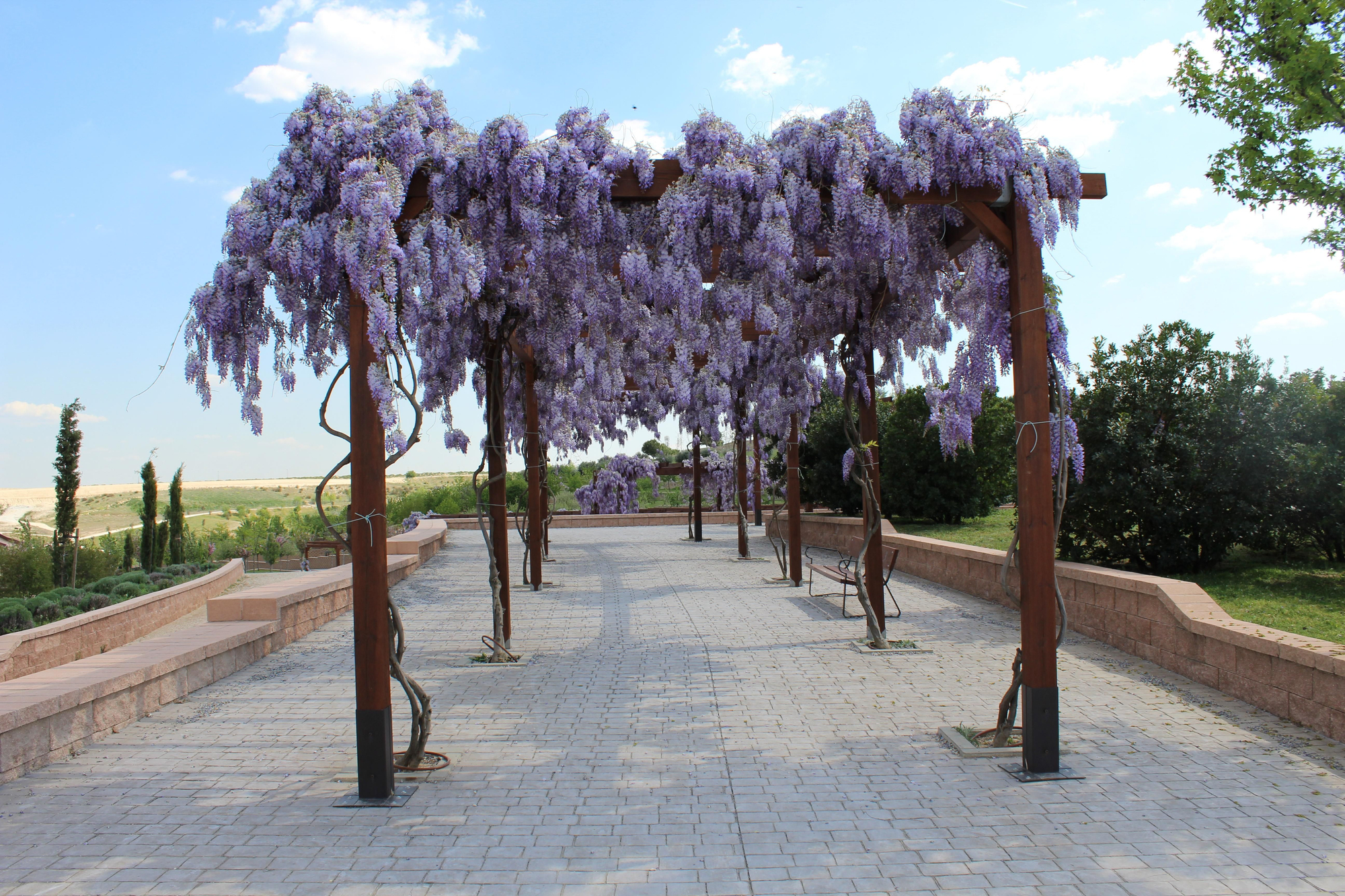 Parque Forestal de Valdebebas.