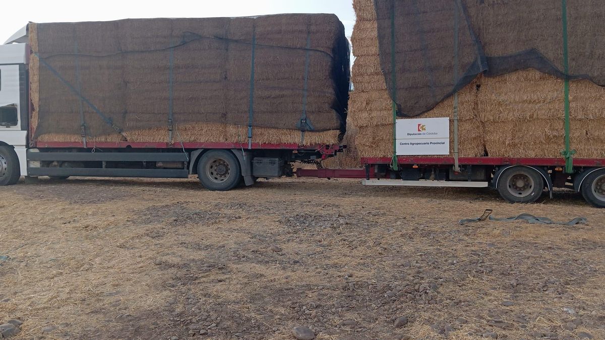 La Diputación realiza un envío solidario de forraje alimenticio a los ganaderos afectados por los incendios en Cáceres