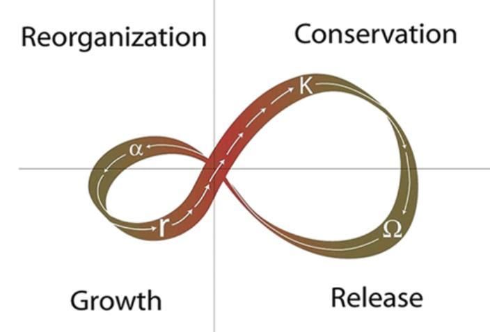 El modelo adaptativo explica ciclos de auge y caída