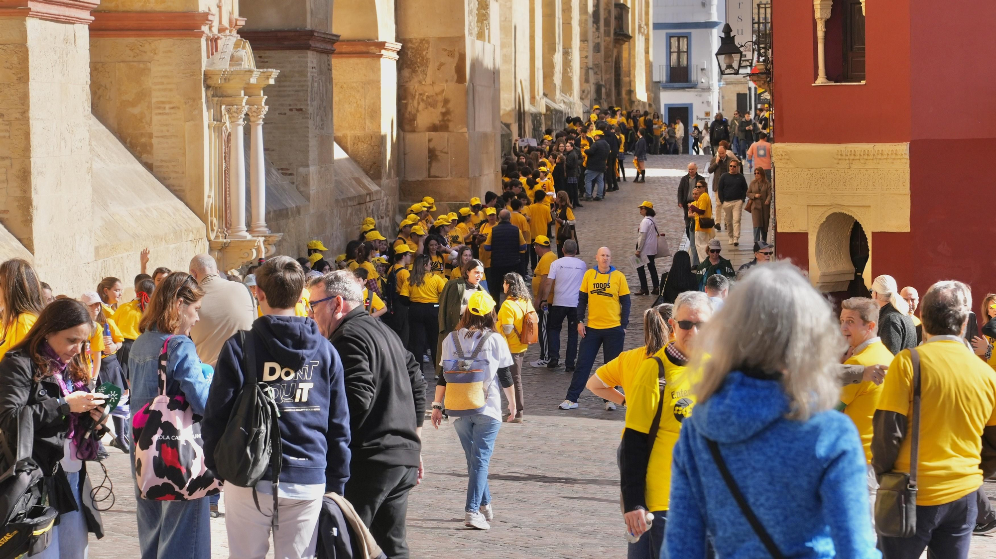 Córdoba abraza la Mezquita Catedral por las enfermedades raras
