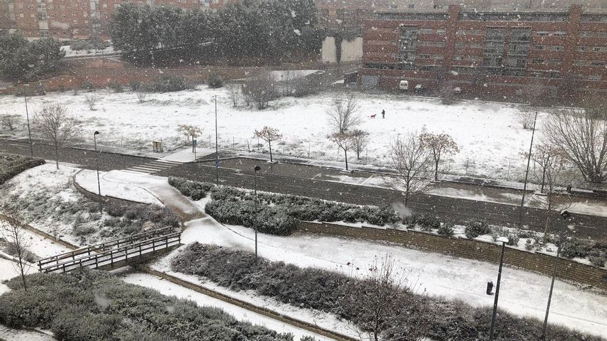 Guadalajara a las 14 horas del viernes 8 de enero de 2021