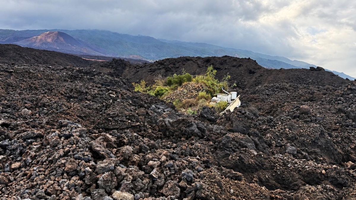 Zona de plataneras destruida por la lava del Tajogaite.