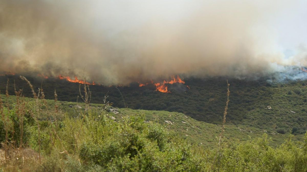 Fuego en el incendio en las Cinco Villas