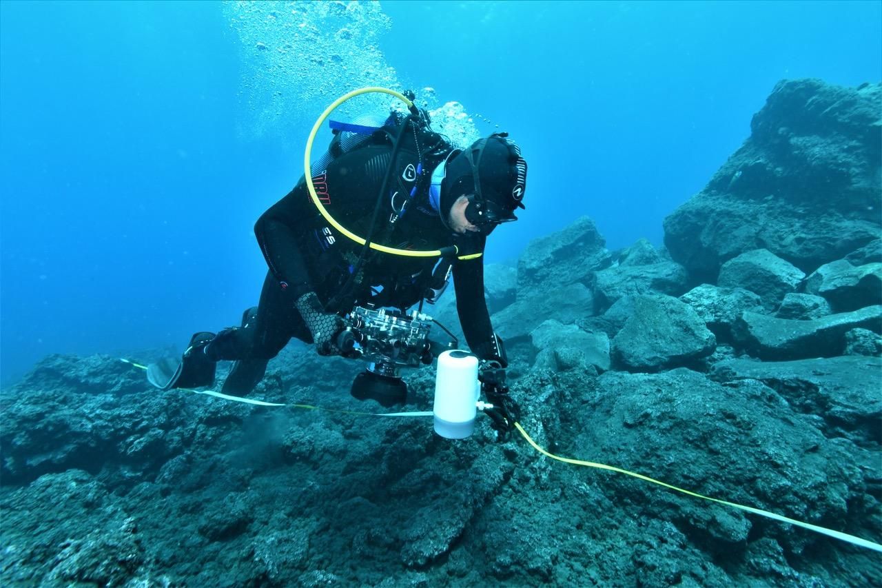El investigador del grupo BIOCON del instituto ECOAQUA, Néstor E. Bosch, realizando censos de biodiversidad de peces y hábitats bentónicos en La Palma. Foto: FERNANDO ESPINO