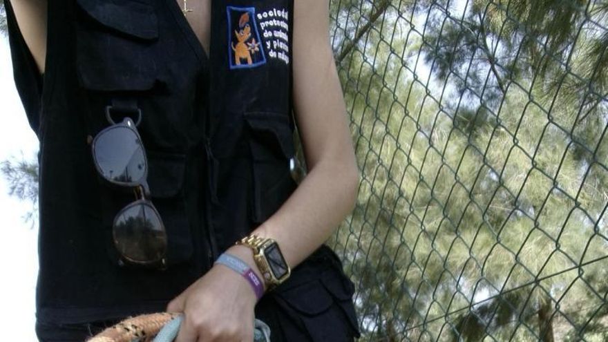 La triste historia de Barrancas, el perro al que abandonaron tras diez años y que ahora busca una nueva familia