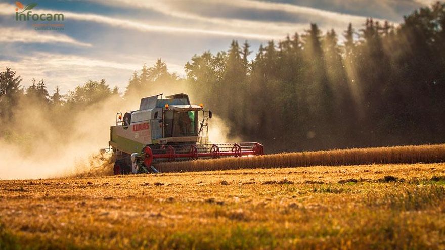ASAJA interpone un recurso de alzada contra la resolución que prohibió cosechar los días 11 y 12 de julio