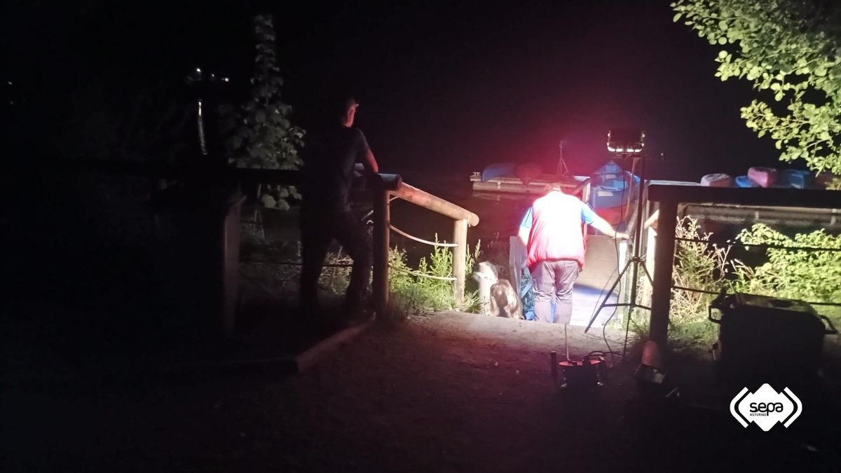 El cadáver de la mujer fue recuperado en la zona marcada por uno de los perros de rescate por los Geas de la Guardia Civil en el embalse de Valdemurio, en el concejo asturiano de Quirós.