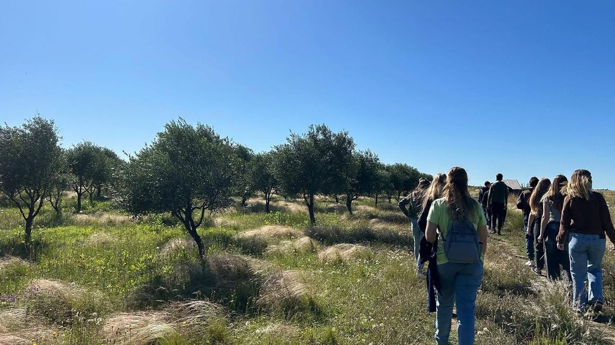 En Adolfo Alsina está la Finca Recóndito Olivares