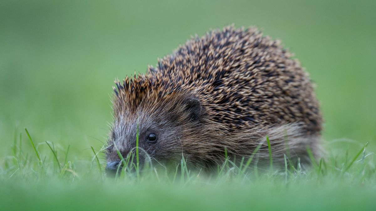 La transformación del territorio empuja a cruzar zonas peligrosas