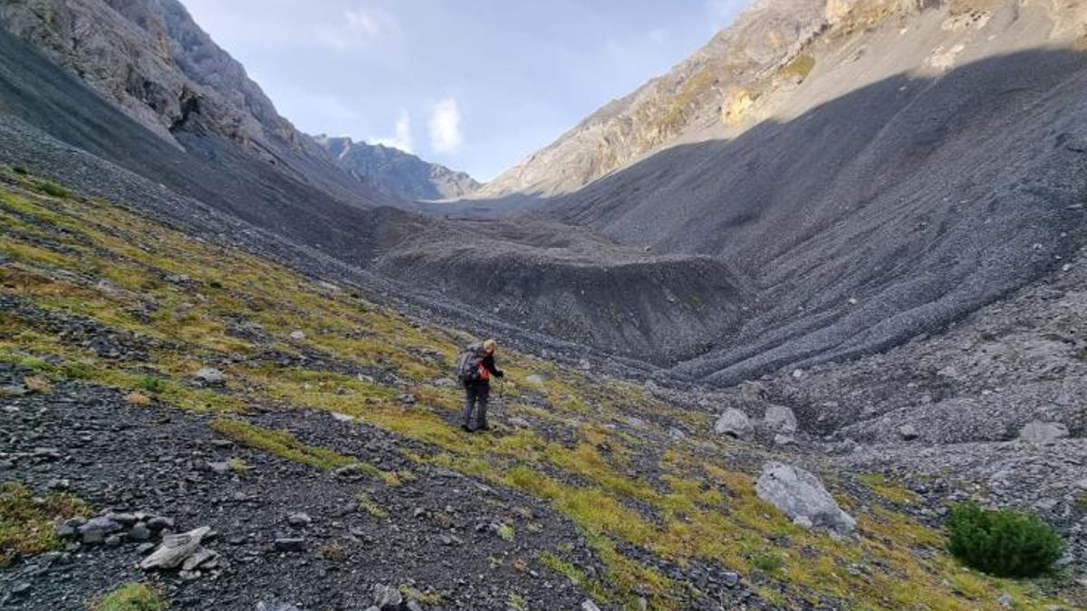 Descubren un ecosistema oculto bajo los glaciares rocosos, amenazado por el calentamiento global