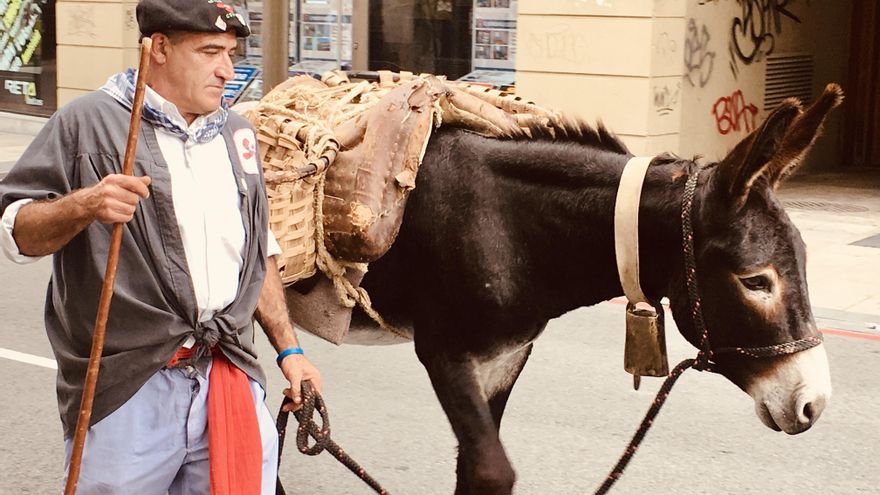Preparativos de la última carrera de burros del día de Santiago (2015)