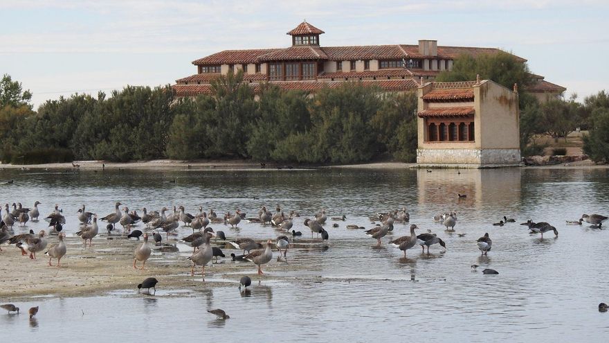 La CHD defiende que el proyecto de hidrógeno en Zamora no afectará a más del 0,1% del acuífero de las Lagunas de Villafáfila