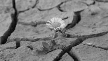 Resiliencia
