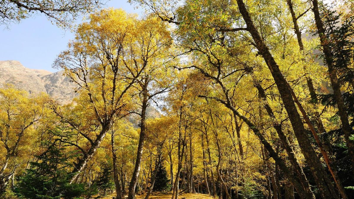 Injecció econòmica per a la bioeconomia de 269 milions d’euros