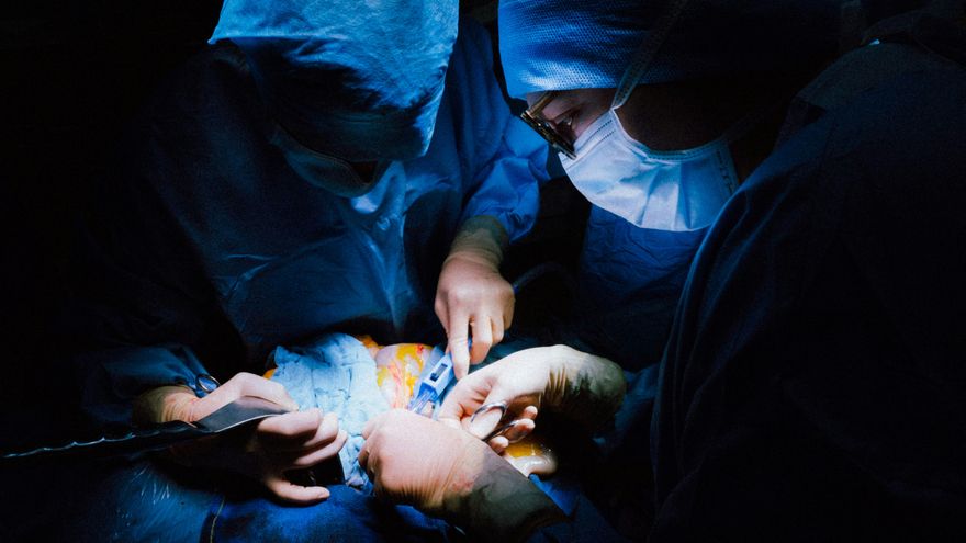 Los trasplantes de órganos de cerdo toman velocidad: luz verde a los primeros ensayos múltiples con humanos