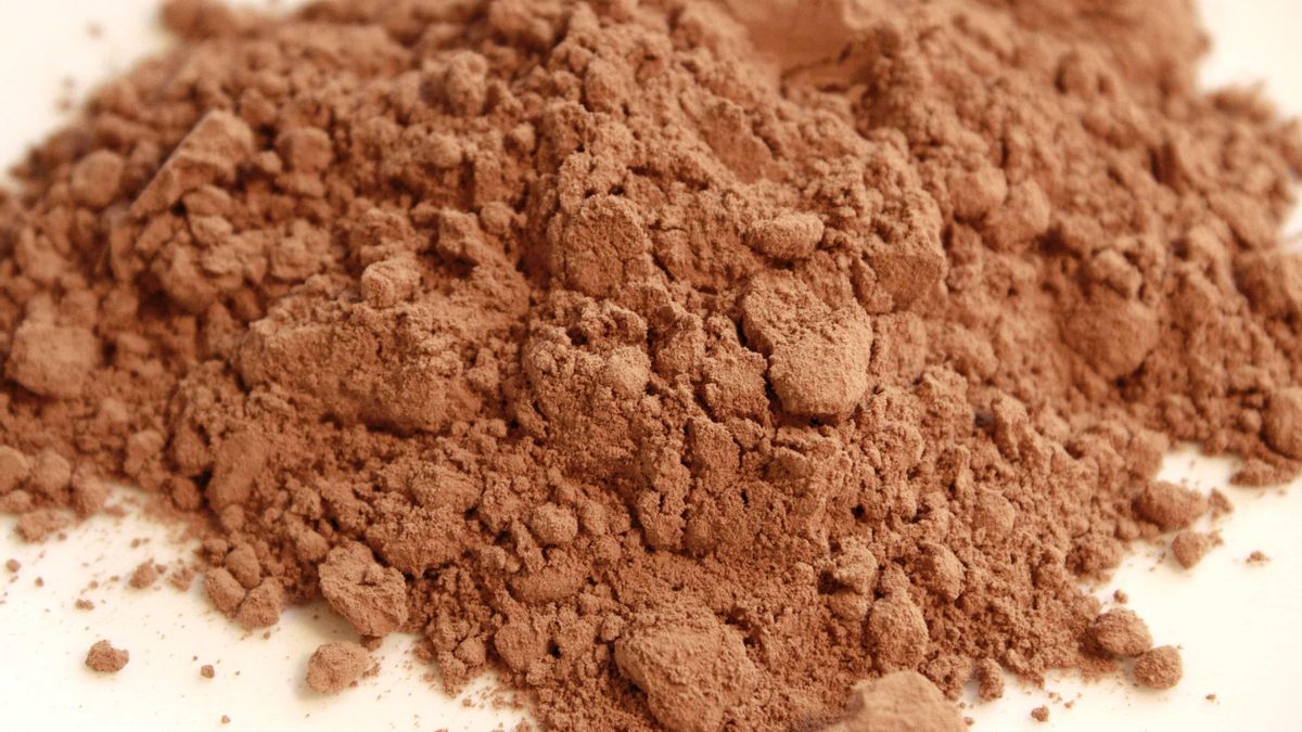 Día Nacional del Cacao: ¿cómo hacer cacao en polvo casero para no tener que comprarlo en el supermercado?