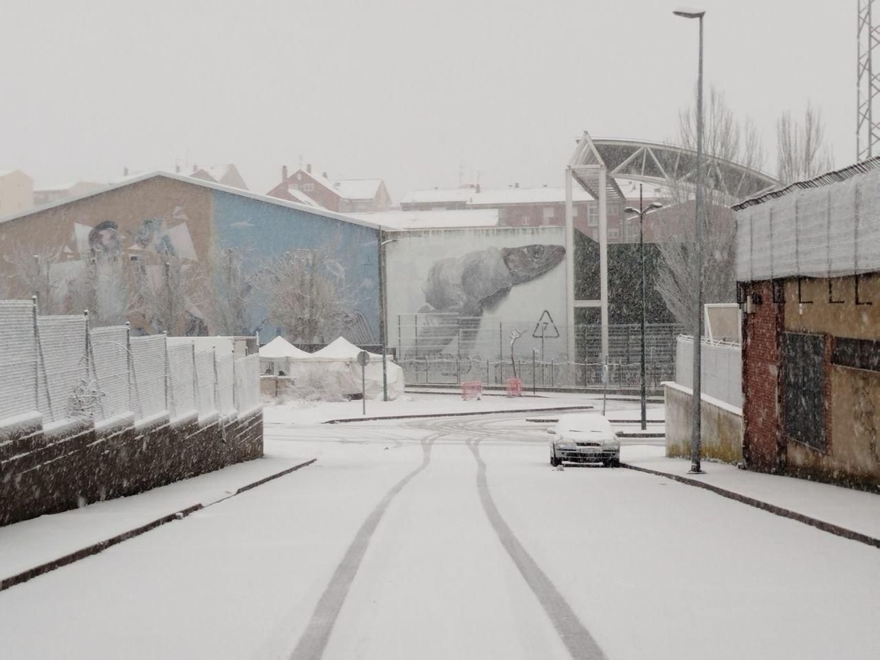 La nieve cuaja en la provincia de León: estampas blancas