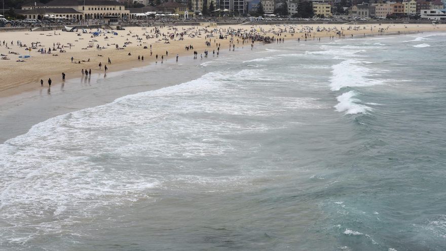 Muere un hombre por el ataque de un tiburón en una playa de Australia