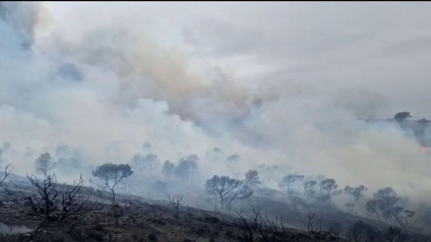Estabilizado el incendio forestal que arrasa 400 hectáreas en Jumilla y Hellín