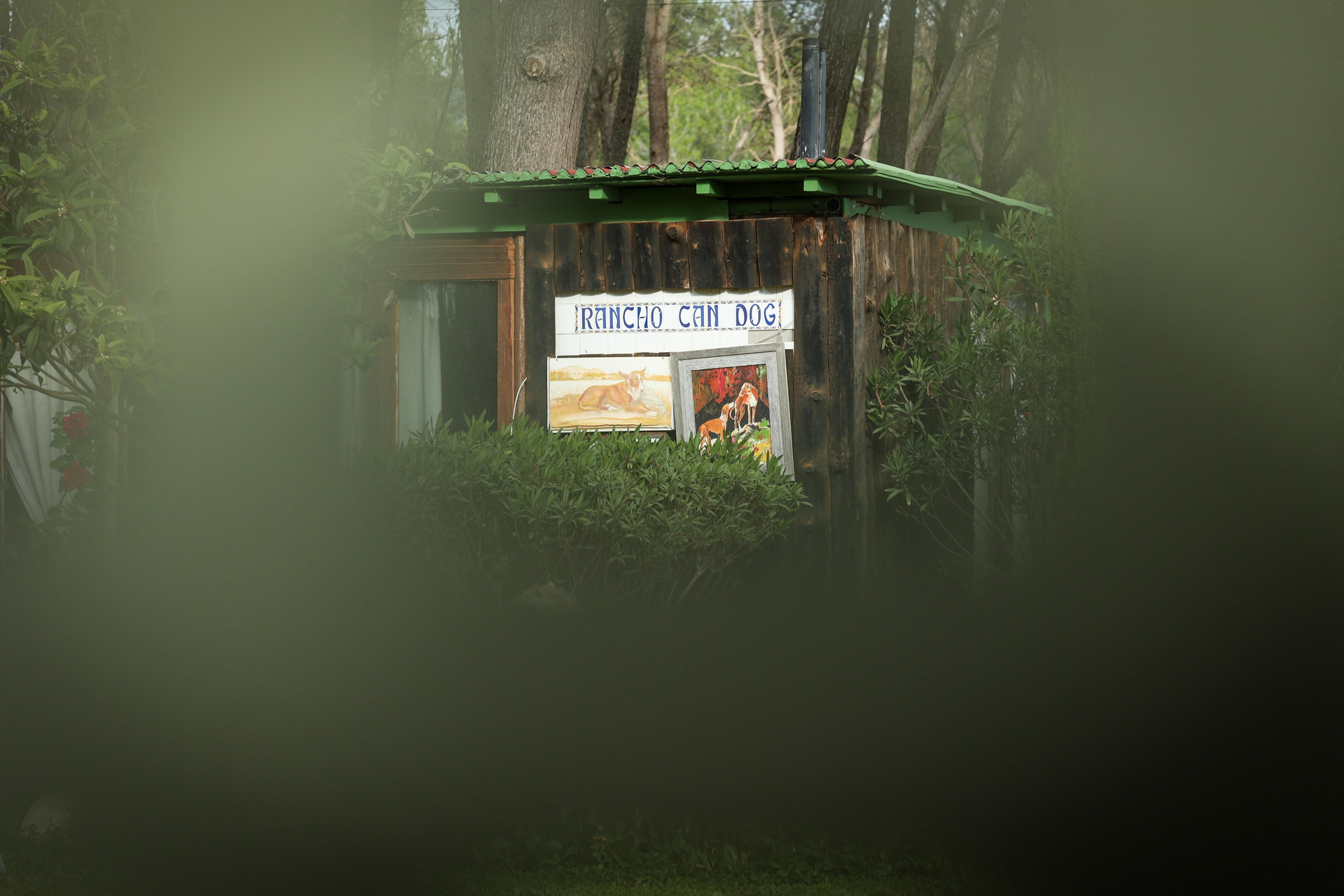 Una caseta con el rótulo de 'Can Dog' dentro del perímetro que operaba hasta hace poco como hotel y refugio para animales