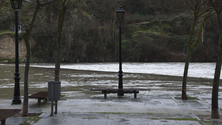 La crecida del rio Tajo inunda a su paso la senda ecológica de Toledo este viernes.
