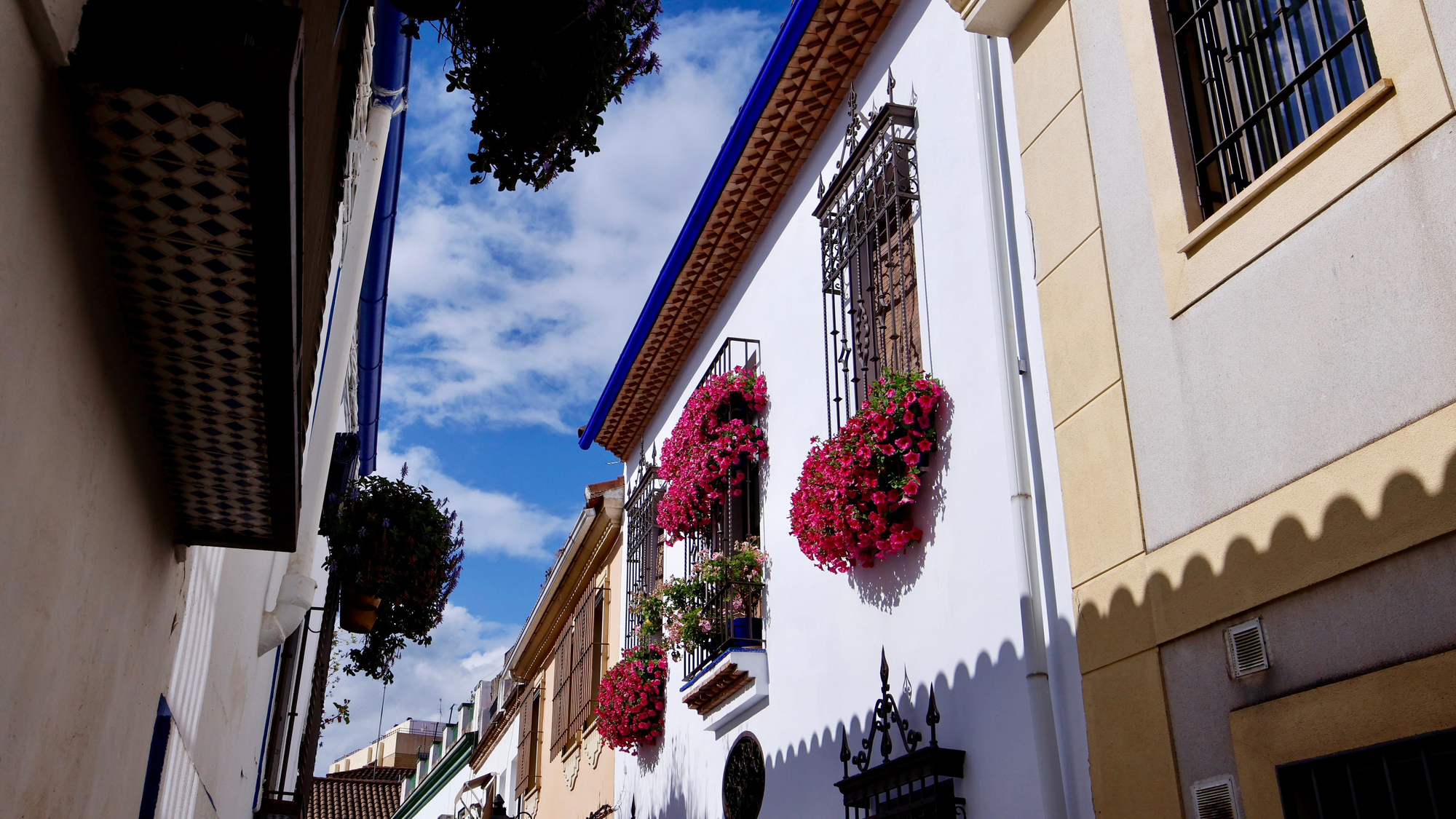 Segundo premio de Rejas y Balcones en Pastora, 2