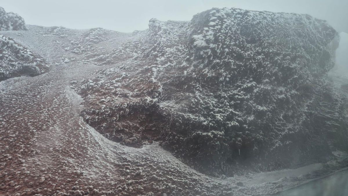 El intenso frío ha congelado las cumbres de La Palma este martes.